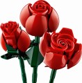 10328_alt3.jpg