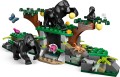 60437_alt3.jpg