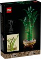 10344_box5_v39.jpg