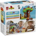 10469_Box5_v29.jpg
